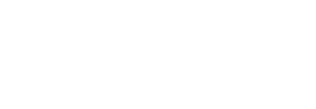 logo_boostit_blanc